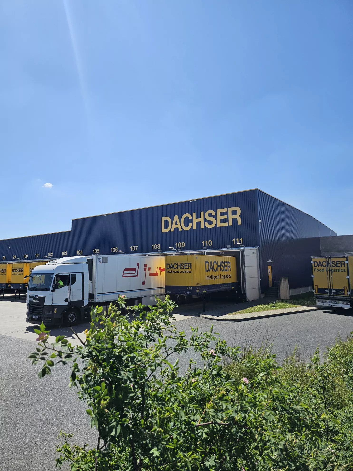 Dachser